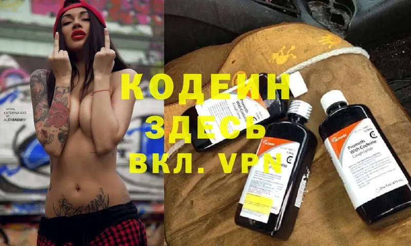 где купить наркоту  Гудермес  hydra маркетплейс  Кодеин Purple Drank 